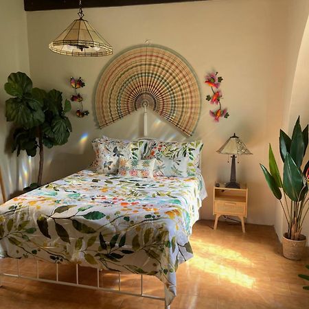 The Garden Apartment, The Willow Apartment, & The Tropical Apartment At Casa Of Essence In Old San Juan Eksteriør billede