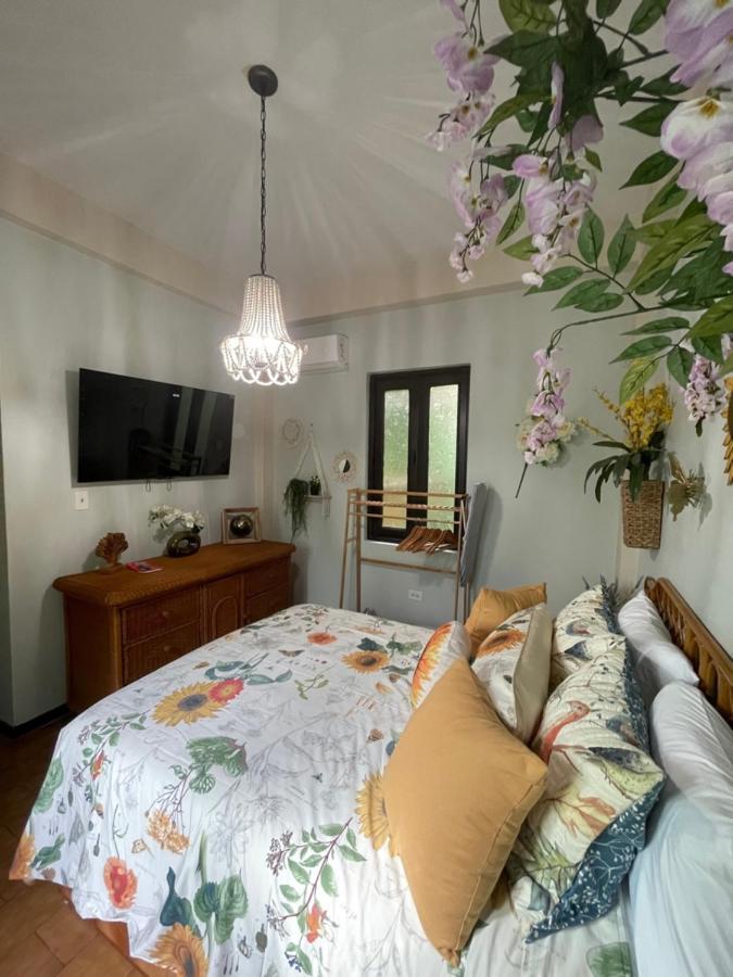The Garden Apartment, The Willow Apartment, & The Tropical Apartment At Casa Of Essence In Old San Juan Eksteriør billede