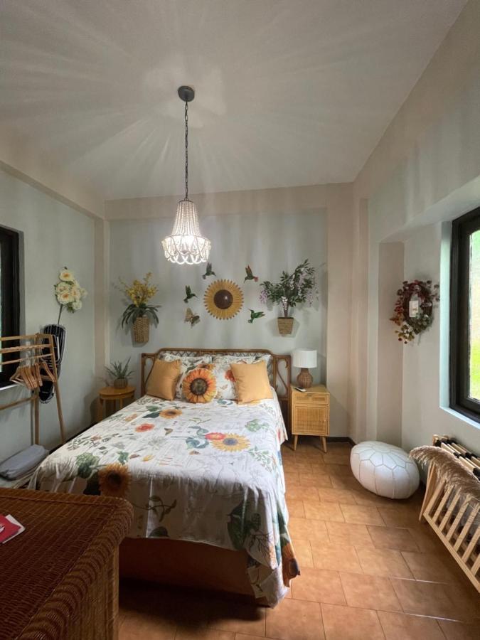 The Garden Apartment, The Willow Apartment, & The Tropical Apartment At Casa Of Essence In Old San Juan Eksteriør billede