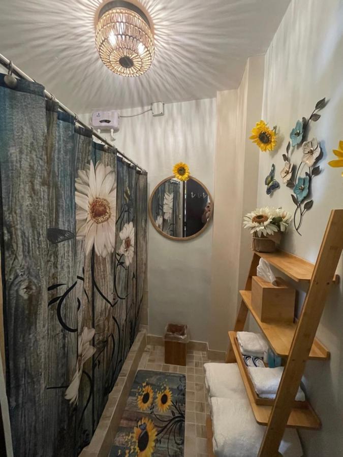The Garden Apartment, The Willow Apartment, & The Tropical Apartment At Casa Of Essence In Old San Juan Eksteriør billede