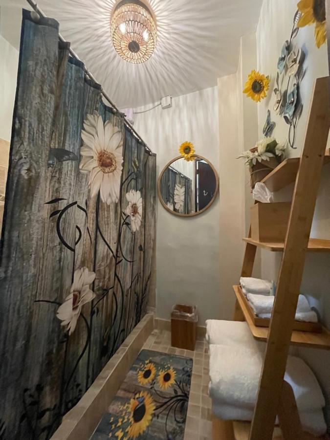 The Garden Apartment, The Willow Apartment, & The Tropical Apartment At Casa Of Essence In Old San Juan Eksteriør billede