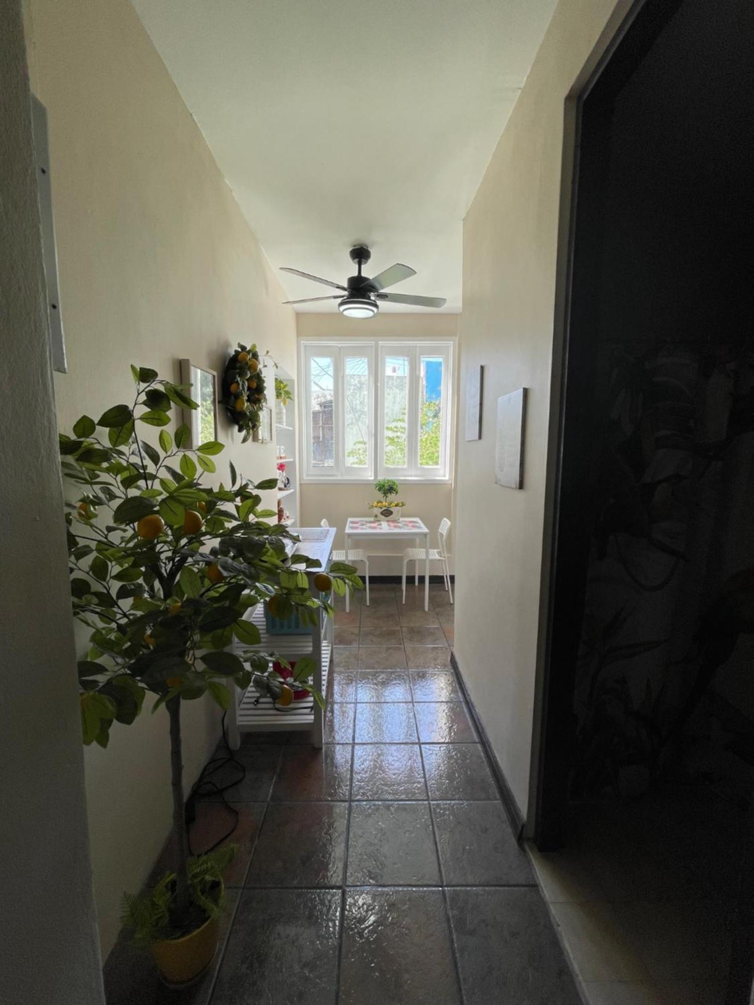 The Garden Apartment, The Willow Apartment, & The Tropical Apartment At Casa Of Essence In Old San Juan Eksteriør billede