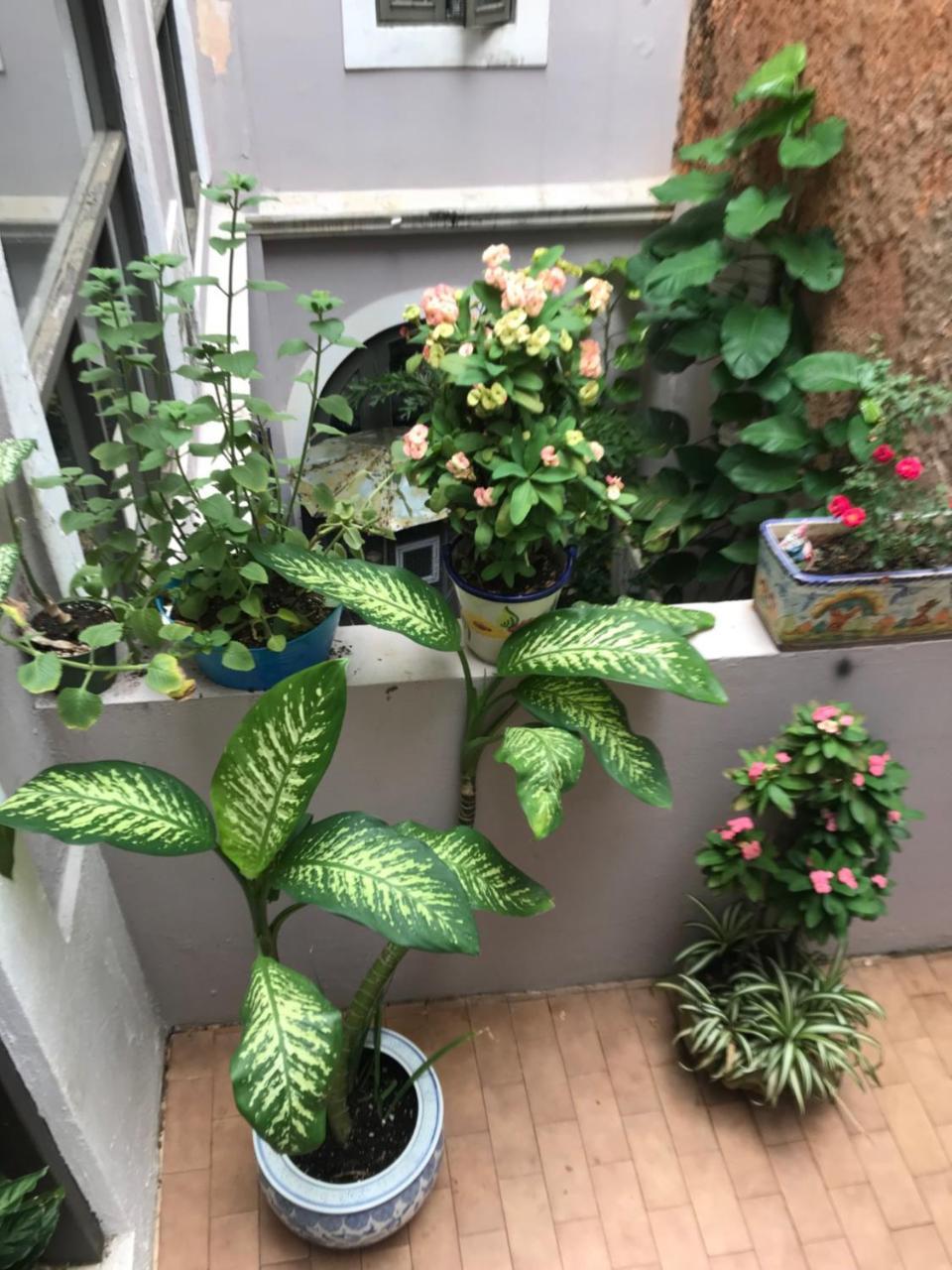 The Garden Apartment, The Willow Apartment, & The Tropical Apartment At Casa Of Essence In Old San Juan Eksteriør billede