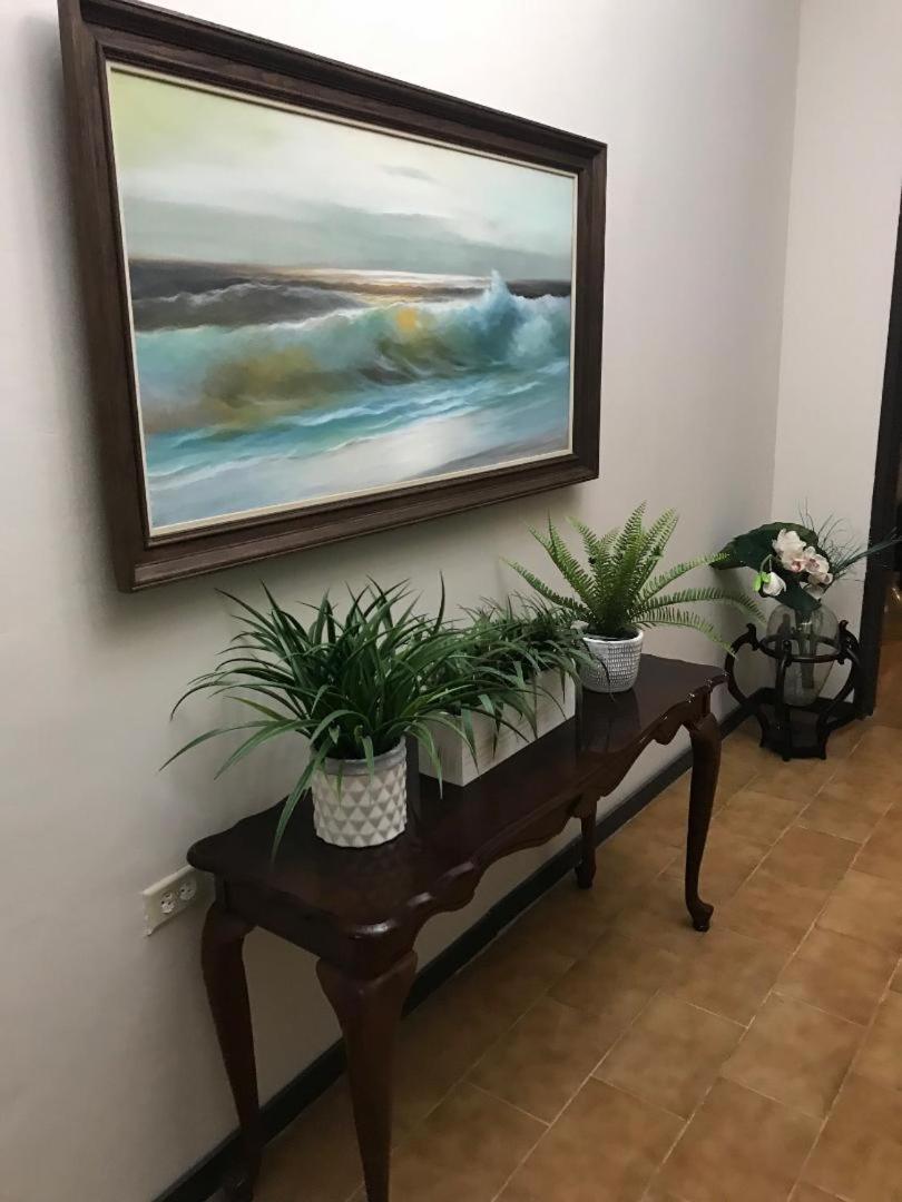 The Garden Apartment, The Willow Apartment, & The Tropical Apartment At Casa Of Essence In Old San Juan Eksteriør billede