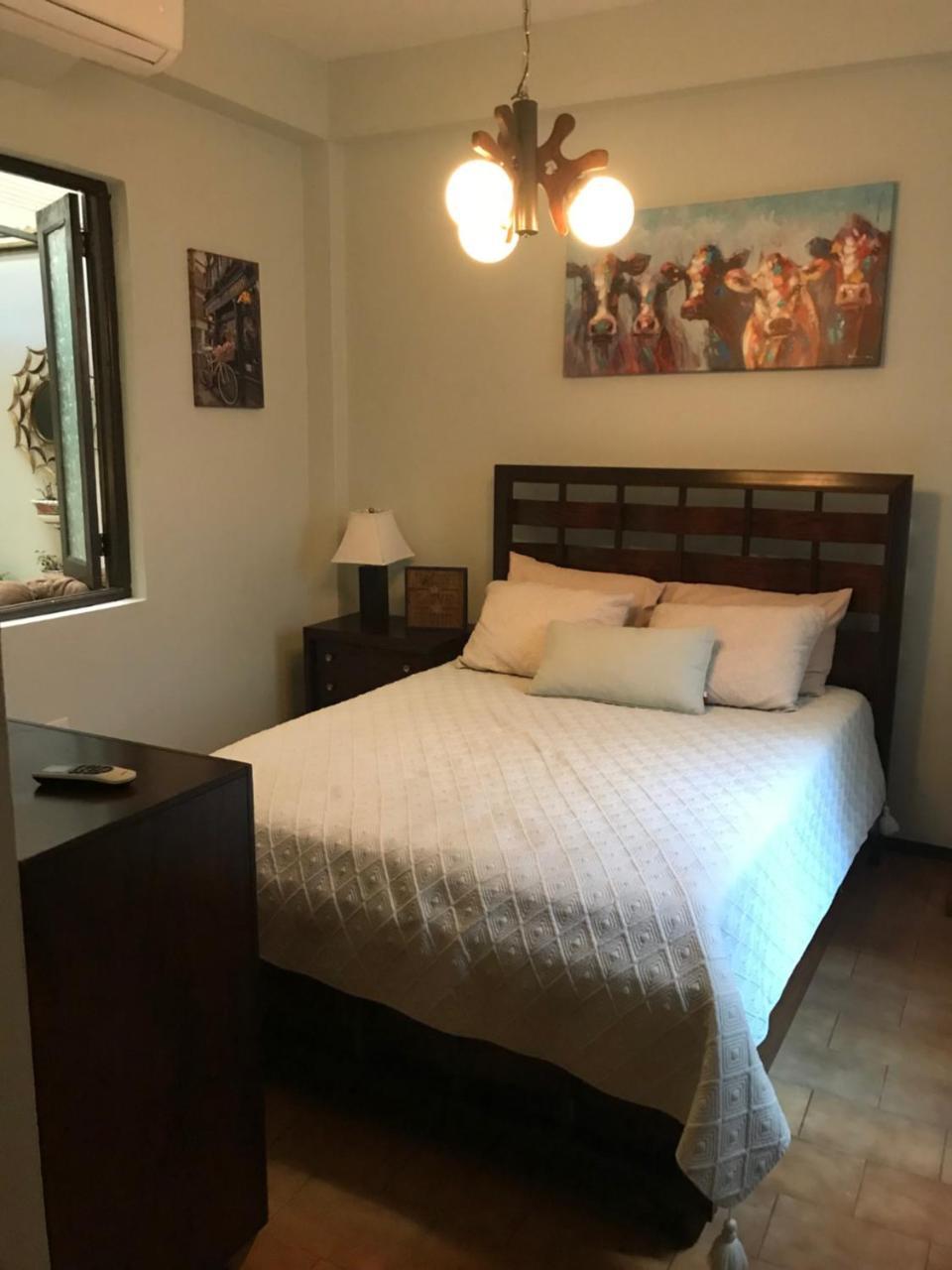 The Garden Apartment, The Willow Apartment, & The Tropical Apartment At Casa Of Essence In Old San Juan Eksteriør billede